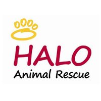 HALO Animal Rescue(@HALORSQ) 's Twitter Profile Photo