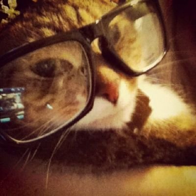 user69182122's profile picture. reader au