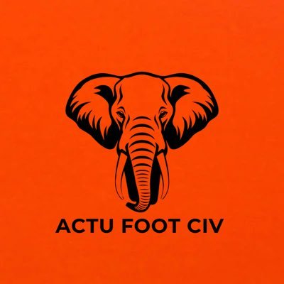 ActuFootCIV's profile picture. 🇨🇮🐘 Toutes les informations en temps réel sur la sélection ivoirienne. 📩 Contact : DM.