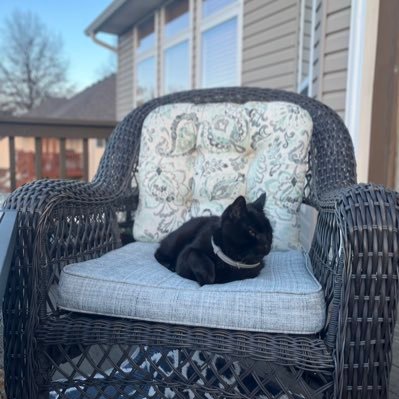 newtcs2's profile picture. 💯 tweakin and geekin