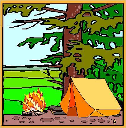 pacamping's profile picture. 