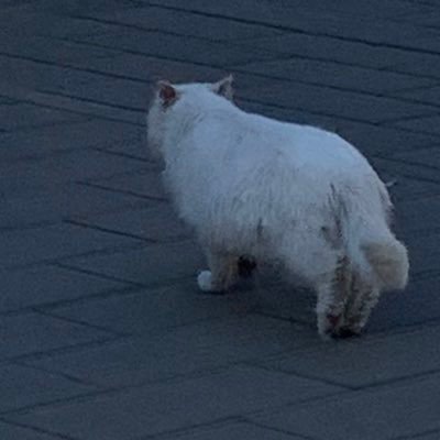 OoRe02086112's profile picture. 叫我小o就好了☺️｜随便写写✍️不喜欢直接屏蔽，骂我会爽🖕🏻｜偶尔写点抽象奖励自己｜录制前请先授权！发布请@ ｜接定制！！｜看置顶🔝