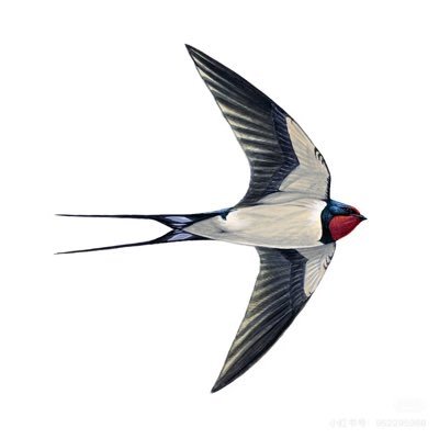 三千年前(原号After 17已被盗)