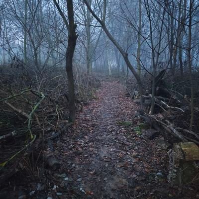 1ststststst1's profile picture. 