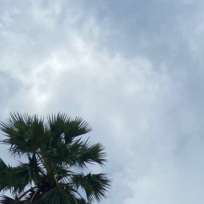 XM5902's profile picture. 