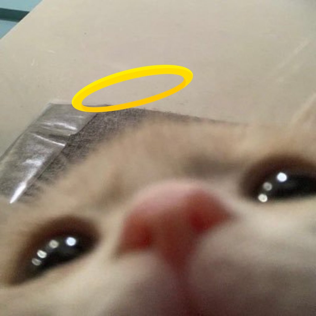 maengshoong's profile picture. 