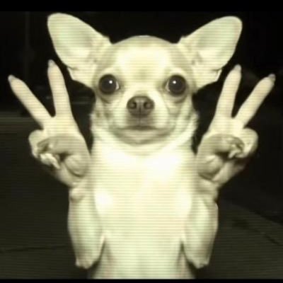 OfficialPauL17's profile picture. 