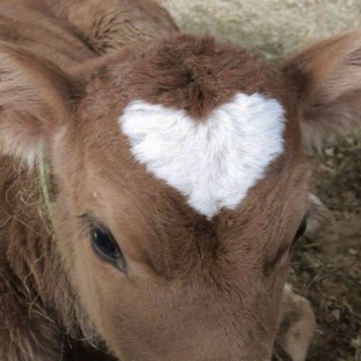 ladykilllas's profile picture. #me