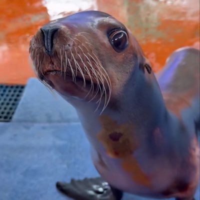 tucoelson's profile picture. 