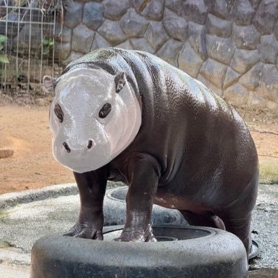 Buck889900's profile picture. 