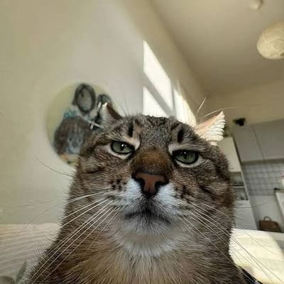 m1n3cr4ftc4t's profile picture. 20 💘 edtwt