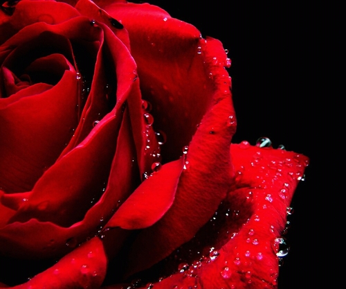 VanillaLatteS's profile picture. 여행,영화,뮤지컬,음악,스타벅스커피,,,시간속의 현재진행중이다..