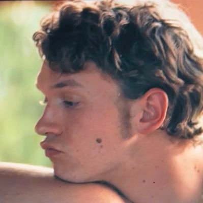 mistertoomuch's profile picture. certified cunty comrade 🇵🇹🇵🇸