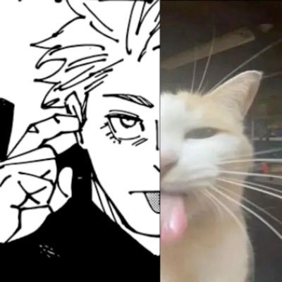 besameow's profile picture. hes mad as hell he thought the hyperfixation was for a day 🇸🇻 yappatron i do everything