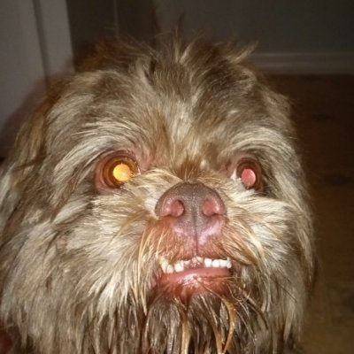 _Masterpotato64's profile picture. ☭Overdosing on Commie Ideology ☭