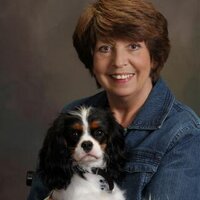 Linda Fugate - @linda_fugate Twitter Profile Photo