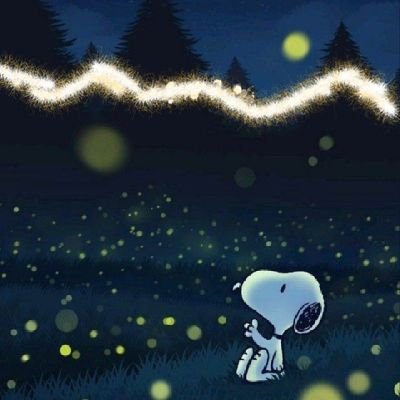 heeflowrs's profile picture. el cielo no tiene límites, solo horizontes que nos invitan a soñar más alto.                                            
          
             sunflower —