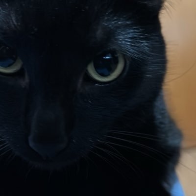 rchi545's profile picture. 