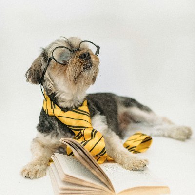 PhilnSouth's profile picture. Trump and MAGA supporter to the extreme.
Love God, my family and my Country.
AT 2021. 
Mostly read, rarely post. If this bothers you, don't follow.