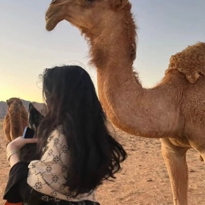 _alshl1's profile picture. #MBS﴿تَوَفَّنِي مُسْلِماً وَأَلْحِقْنِي بِالصَّالِحِين﴾