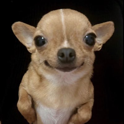 12chillvibe's profile picture. 초심찾기운동잠시멈춤