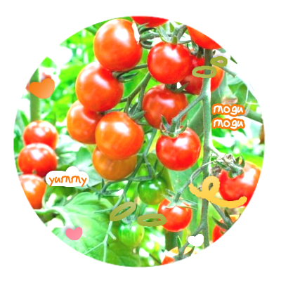 actomilk's profile picture. kedai apps truSted 🌊 🐬 ! . . ubur-ubur iklan lele ⁉️ cuMa di maRiE ada semuA lee 🫧 yOow RiLL kah banh? cus jajaN dulu ajAH 🫵🏻 with 4.000+ testimonial!