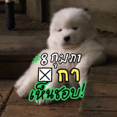 jeanxmha's profile picture. random thought .⠀⠀⠀⠀⠀ ⠀⠀ ⠀⠀⠀⠀⠀⠀⠀⠀⠀⠀⠀⠀⠀⠀⠀⠀⠀⠀⠀⠀⠀⠀⠀⠀⠀⠀⠀⠀