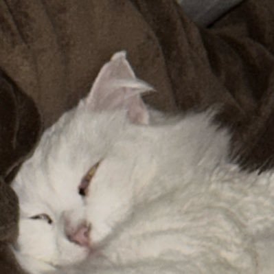 susu15_D's profile picture. 