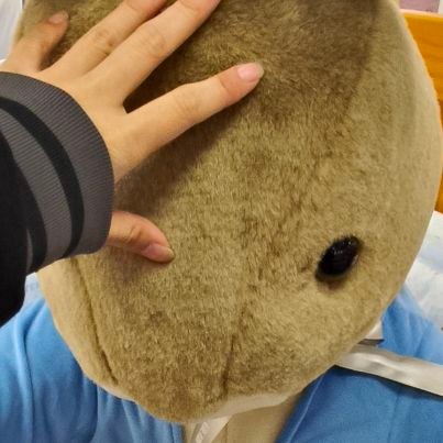 nini_peko's profile picture. 