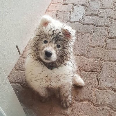 uhwhale52's profile picture. @Williamjkp1 @EstRvp 🎸🦈 @LYKNofficial 🐺 @BTS_twt 💜 ตามติดชีวิต(ติ่ง)ของสาวยิ้บหกแบบเฮ้วตี้✨