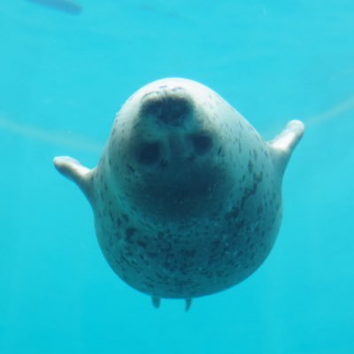 trmrmeer's profile picture. 