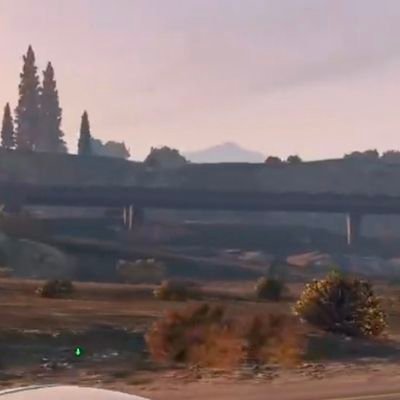 mint_bam31579's profile picture. 