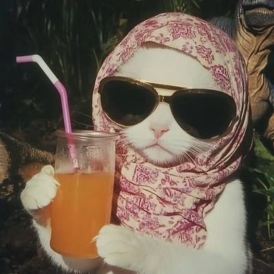 mrsghaf_'s profile picture. خورشید پس از شب‌های طولانی ✨🕊️