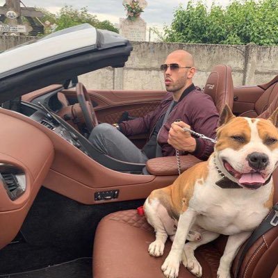 KabelHannah75's profile picture. Investment