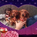 albert jenkins - @trucker62a - Twitter