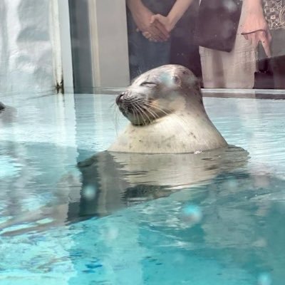 Jeong_mimi0_0's profile picture. 