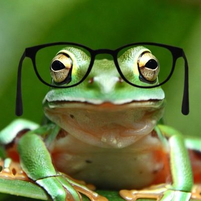 kinokarl's profile picture. Kinogänger und Filmfreund mit einer Vorliebe für asiatisches Kino.

Das Bild zeigt das Innere des UCI Dresden.