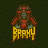 braxy2x's profile picture. 