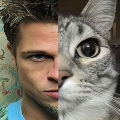 0xbirdd's profile picture. 