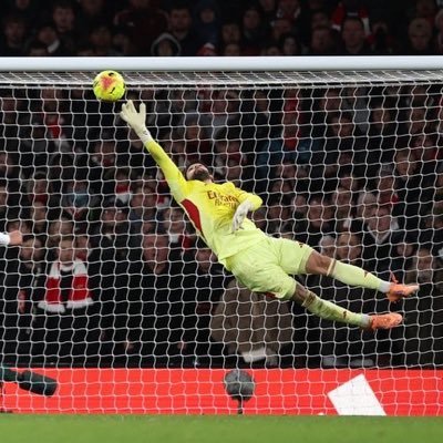 Dr_Ippon's profile picture. #Arsenal #MichiganAthletics. Opinions are my own.