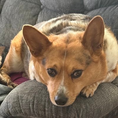 Gayle_Troiani's profile picture. Converse aficionado • Jeep enthusiast • Metal lover • Hockey writer : @rinkreport38125 • past: NESN • co-host @whatsbruin6342 | Northeastern ‘05