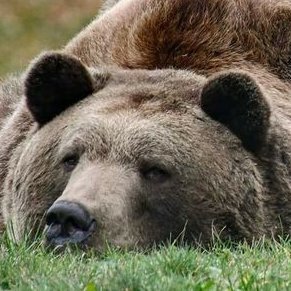 wbZuser's profile picture. see and enjoy