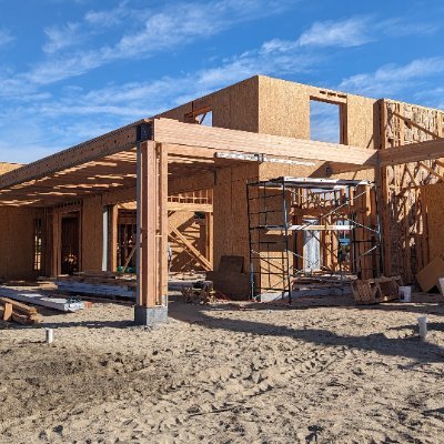 nosuchsol's profile picture. Build Build Build