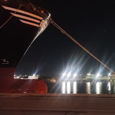 Ositacurios's profile picture. conocer personas en buen plan.