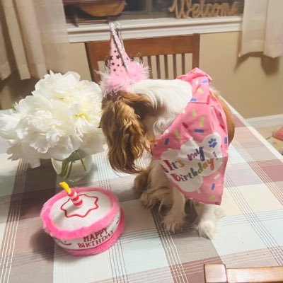 Slvtygirl's profile picture. 18+  Virgin