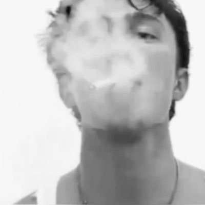 brutoalfiler's profile picture. Lienzos de caobo, su esencia dorada.