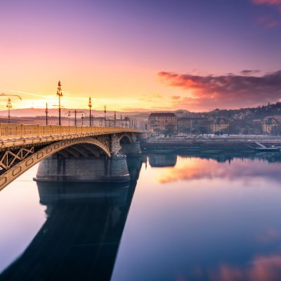 monkeyhouse2023's profile picture. 