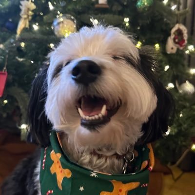 maddy0512's profile picture. 