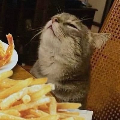 ras_al_cool's profile picture. Josh. He/Him. Geek, Gamer, Guitarist...Goblin?