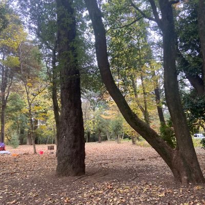 sougo100foroba's profile picture. 